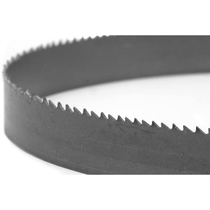 WEN BB4550 44.8-Inch Metal Bandsaw Blade with 10/14 TPI and 1/2-Inch Width
